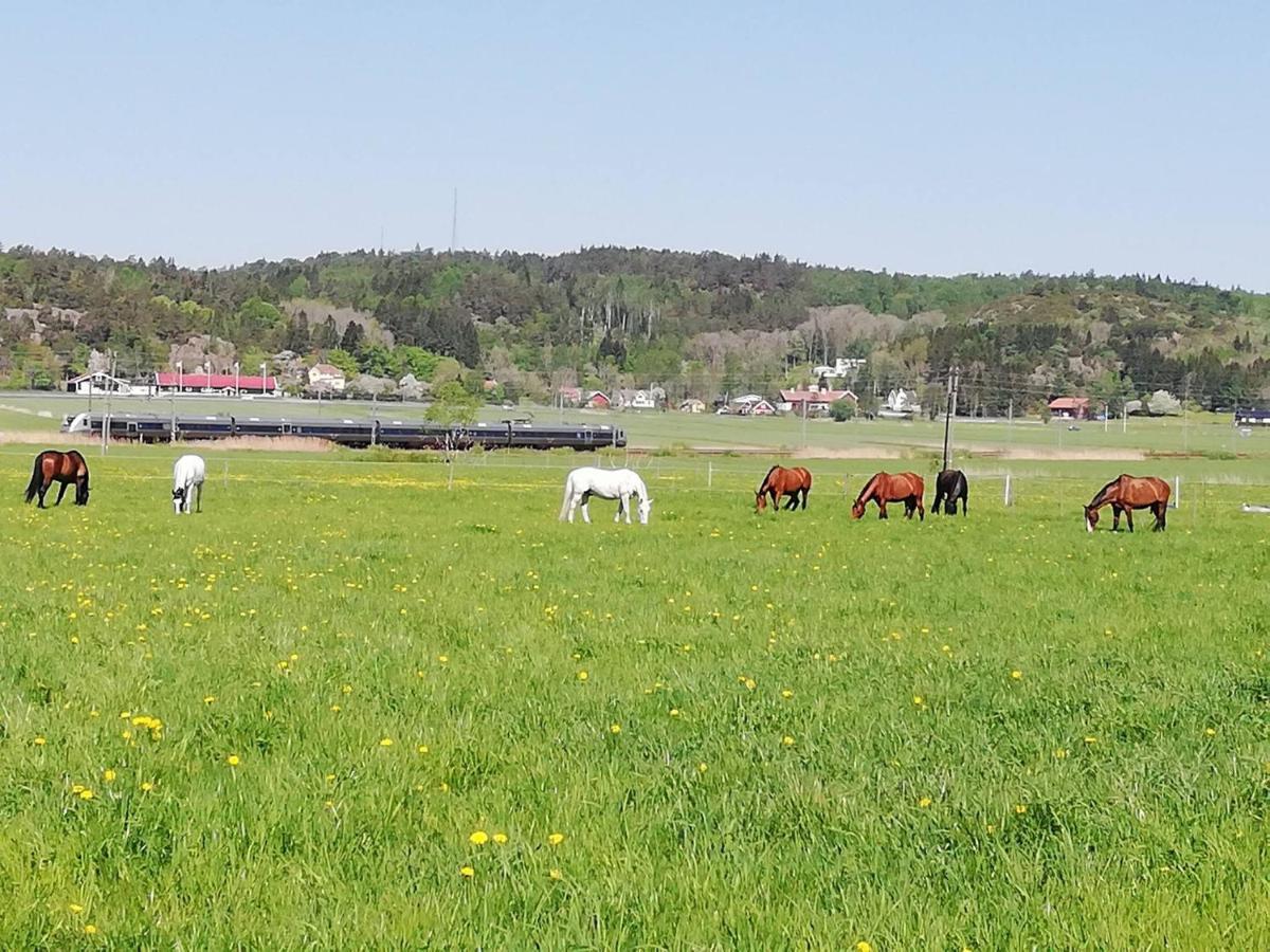Stuga Pa Hammarbergs Gard Kungsbacka Buitenkant foto